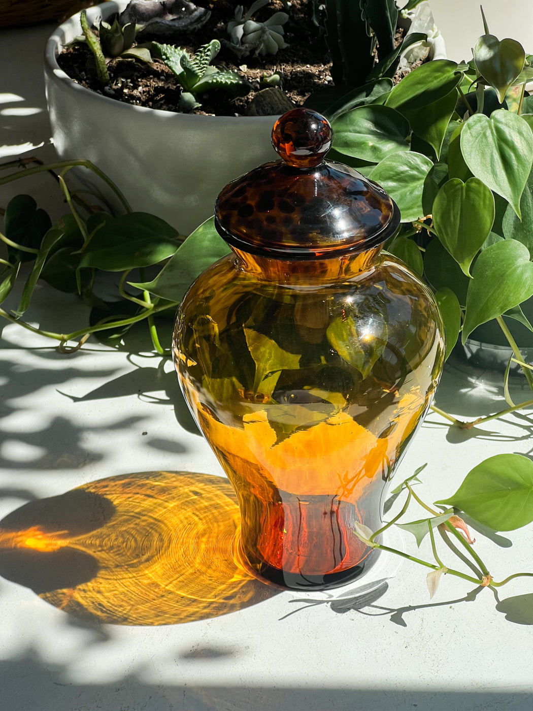 Tortoise Glass Lidded Jar