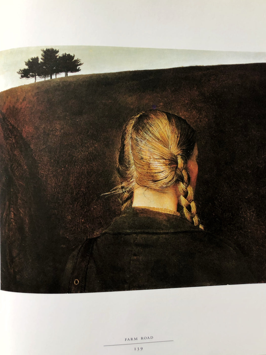 Andrew Wyeth The Helga Pictures