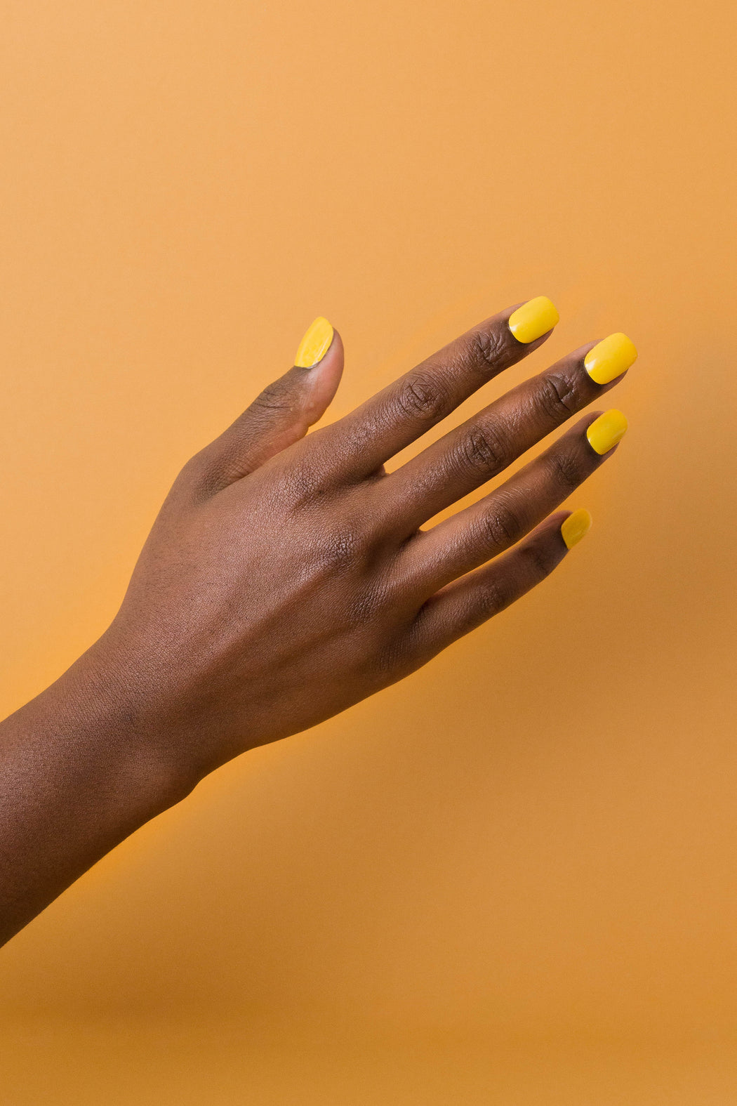 MEEK Nail Polish | Palo Verde